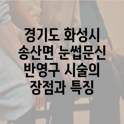 경기도 화성시 송산면 눈썹문신 반영구 시술의 장점과 특징