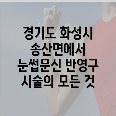 경기도 화성시 송산면에서 눈썹문신 반영구 시술의 모든 것