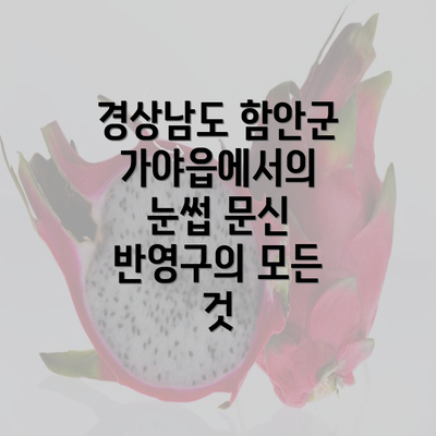 경상남도 함안군 가야읍에서의 눈썹 문신 반영구의 모든 것