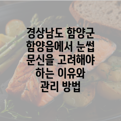 경상남도 함양군 함양읍에서 눈썹 문신을 고려해야 하는 이유와 관리 방법