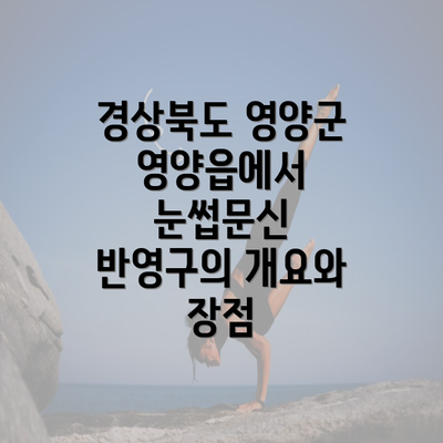 경상북도 영양군 영양읍에서 눈썹문신 반영구의 개요와 장점