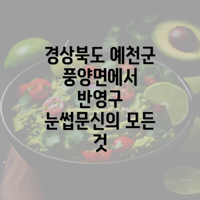 경상북도 예천군 풍양면에서 반영구 눈썹문신의 모든 것