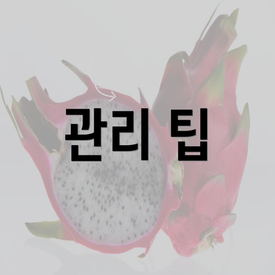 관리 팁