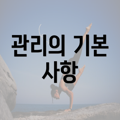 관리의 기본 사항