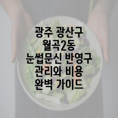 광주 광산구 월곡2동 눈썹문신 반영구 관리와 비용 완벽 가이드