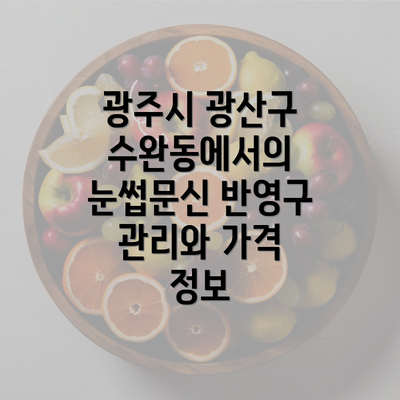 광주시 광산구 수완동에서의 눈썹문신 반영구 관리와 가격 정보