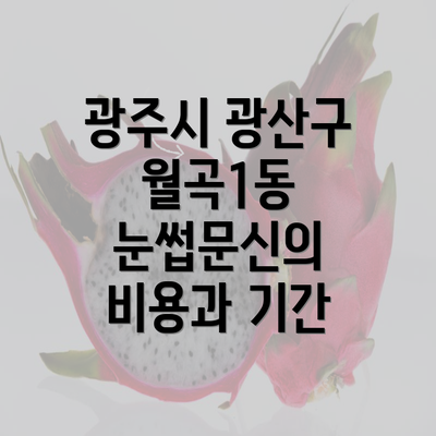 광주시 광산구 월곡1동 눈썹문신의 비용과 기간