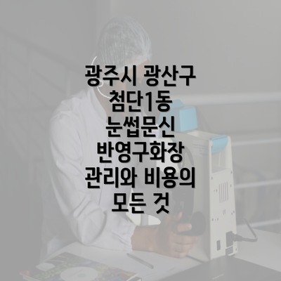 광주시 광산구 첨단1동 눈썹문신 반영구화장 관리와 비용의 모든 것