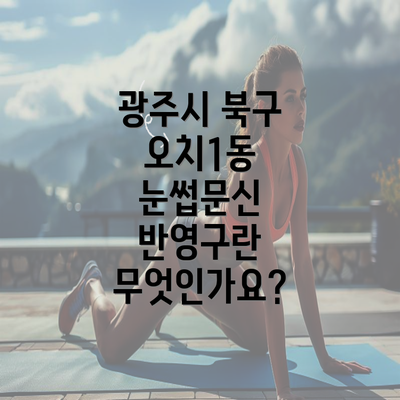 광주시 북구 오치1동 눈썹문신 반영구란 무엇인가요?