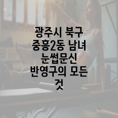 광주시 북구 중흥2동 남녀 눈썹문신 반영구의 모든 것