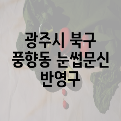 광주시 북구 풍향동 눈썹문신 반영구