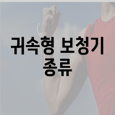 귀속형 보청기 종류