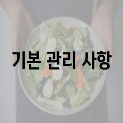 기본 관리 사항