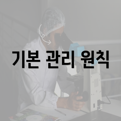 기본 관리 원칙