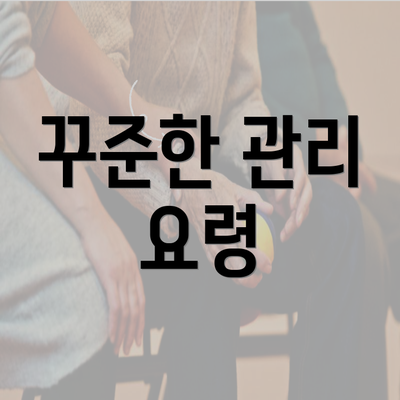 꾸준한 관리 요령