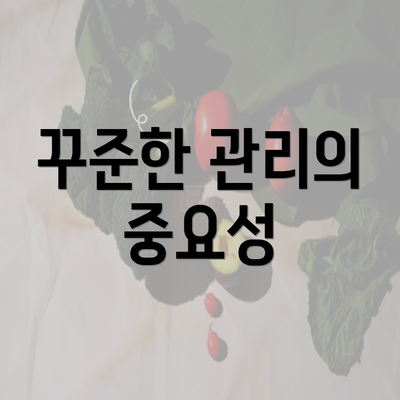 꾸준한 관리의 중요성