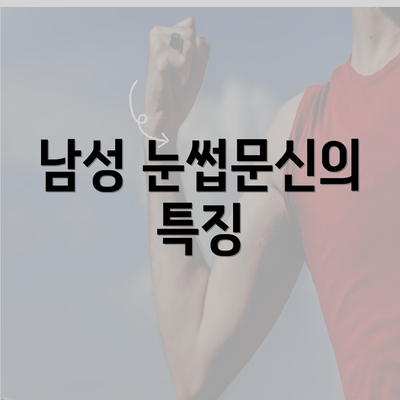 남성 눈썹문신의 특징