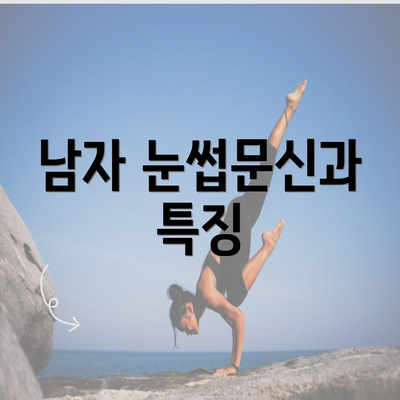 남자 눈썹문신과 특징