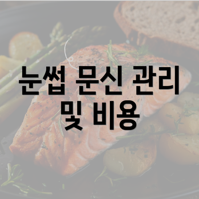 눈썹 문신 관리 및 비용