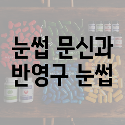 눈썹 문신과 반영구 눈썹