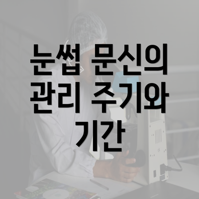 눈썹 문신의 관리 주기와 기간