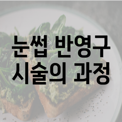 눈썹 반영구 시술의 과정