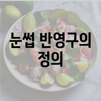 눈썹 반영구의 정의