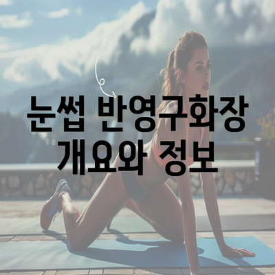 눈썹 반영구화장 개요와 정보