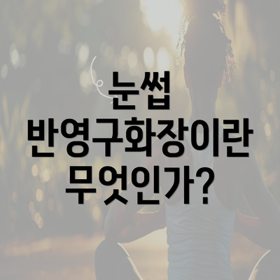 눈썹 반영구화장이란 무엇인가?