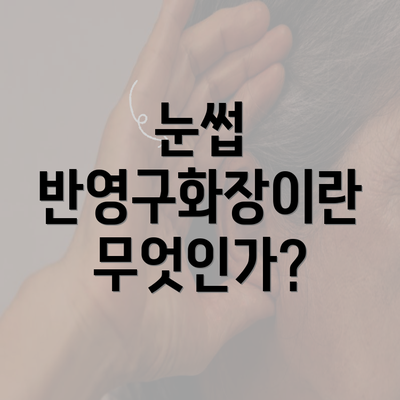 눈썹 반영구화장이란 무엇인가?