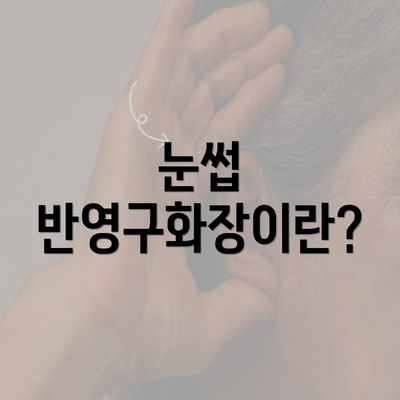 눈썹 반영구화장이란?