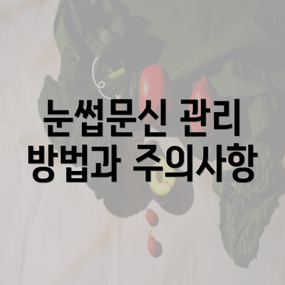 눈썹문신 관리 방법과 주의사항