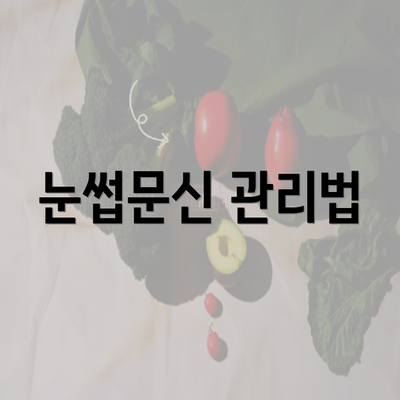 눈썹문신 관리법