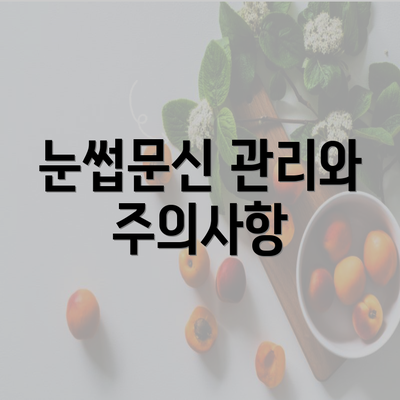 눈썹문신 관리와 주의사항