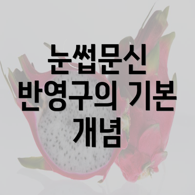 눈썹문신 반영구의 기본 개념