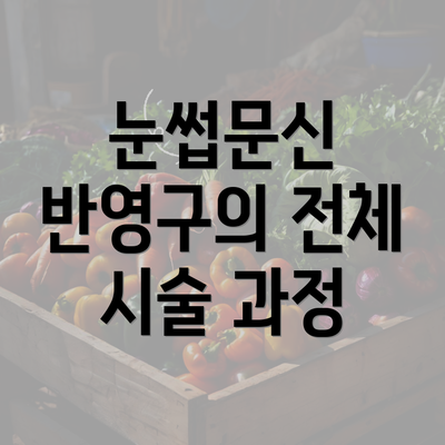 눈썹문신 반영구의 전체 시술 과정