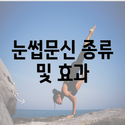 눈썹문신 종류 및 효과