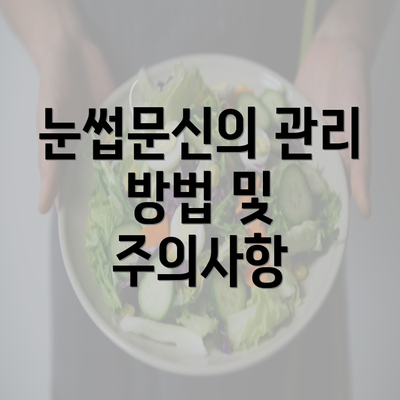 눈썹문신의 관리 방법 및 주의사항