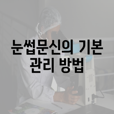 눈썹문신의 기본 관리 방법