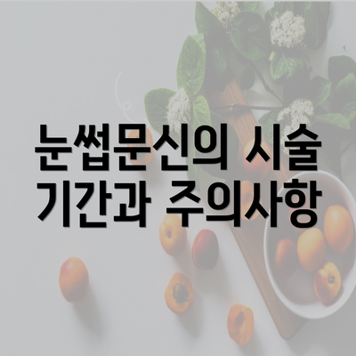 눈썹문신의 시술 기간과 주의사항