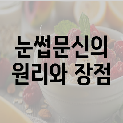 눈썹문신의 원리와 장점