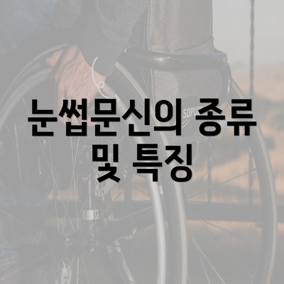 눈썹문신의 종류 및 특징