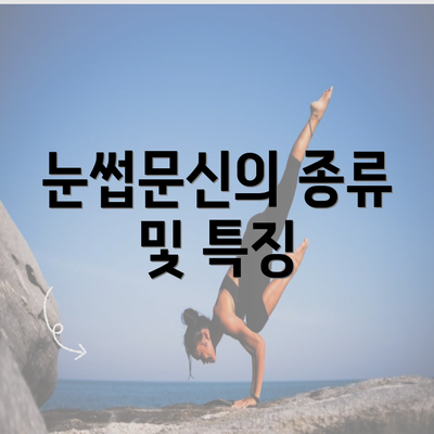 눈썹문신의 종류 및 특징