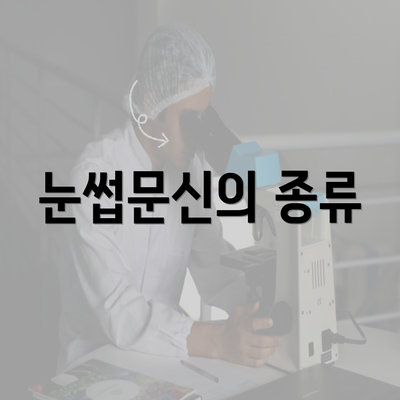 눈썹문신의 종류