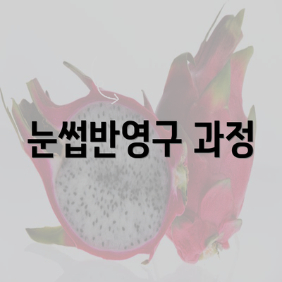 눈썹반영구 과정