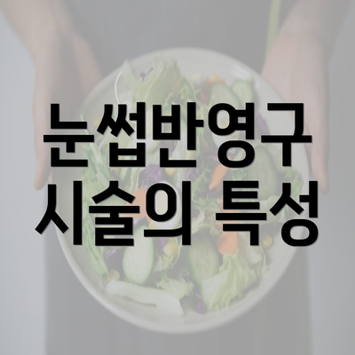 눈썹반영구 시술의 특성