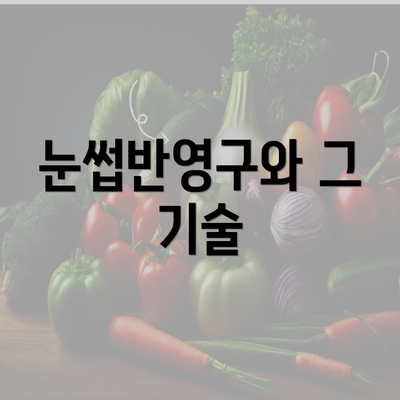 눈썹반영구와 그 기술