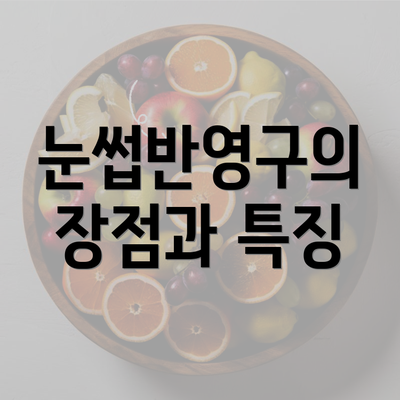 눈썹반영구의 장점과 특징