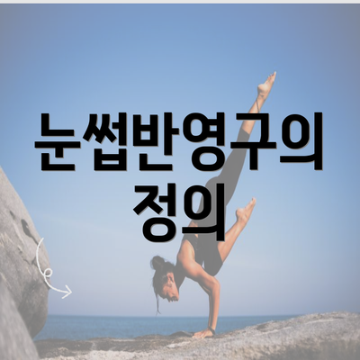 눈썹반영구의 정의