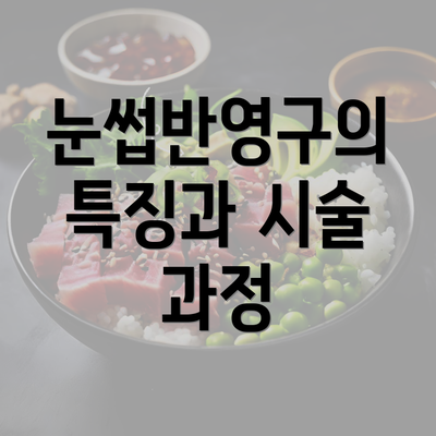 눈썹반영구의 특징과 시술 과정